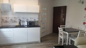 Apartament Centrum 2